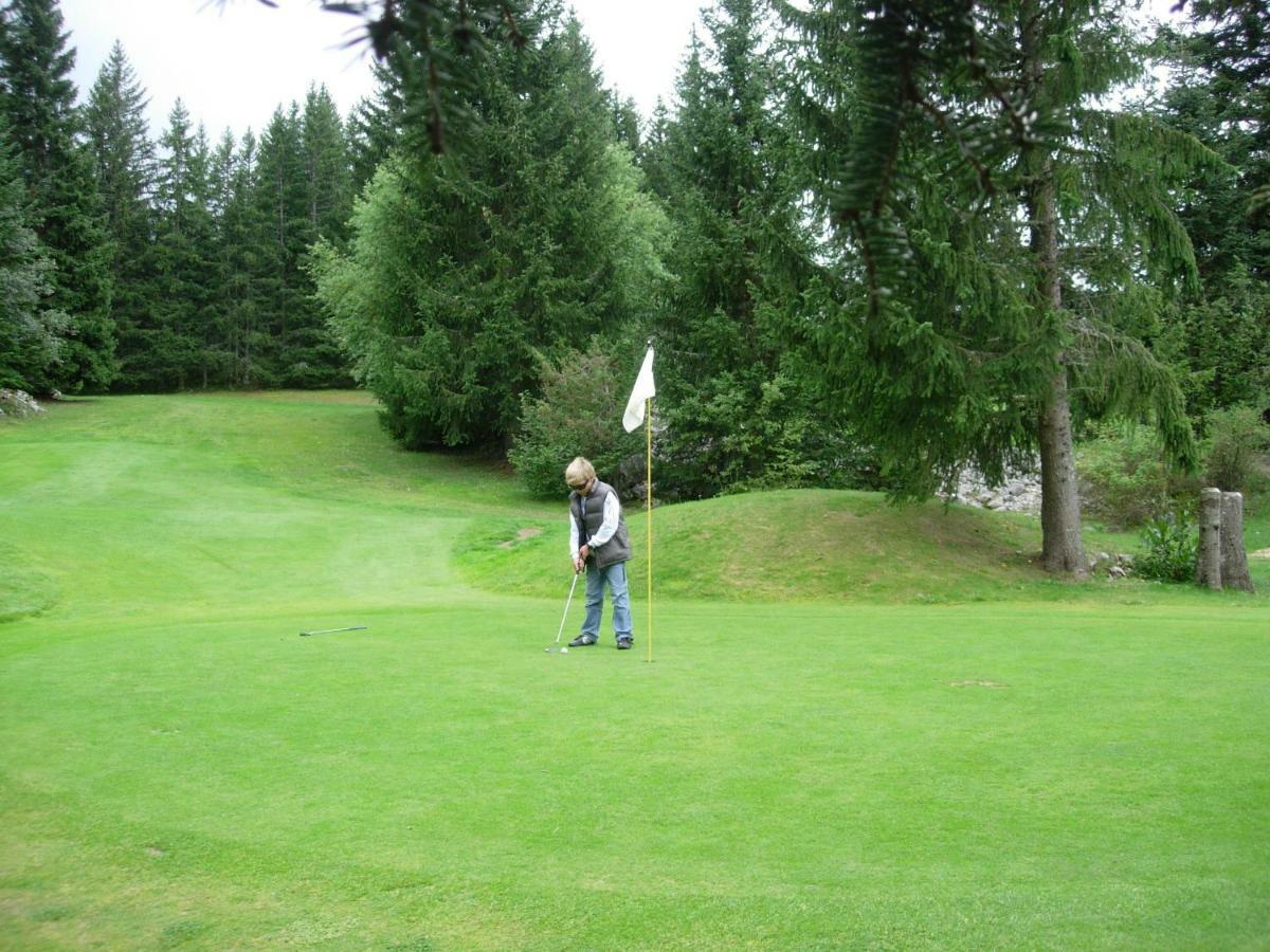 Haut De Chalet 6 P Villard De Lans מראה חיצוני תמונה