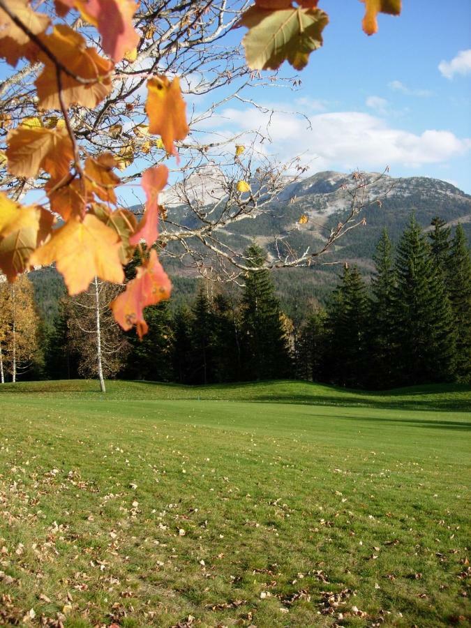 Haut De Chalet 6 P Villard De Lans מראה חיצוני תמונה